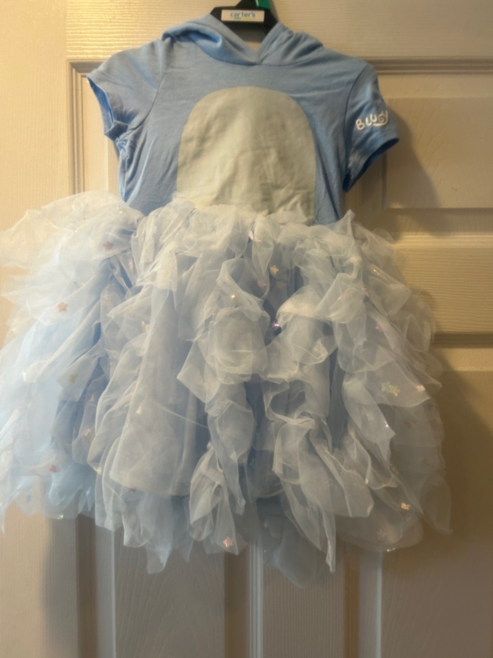 NWT Sz 3t bluey hooded dress